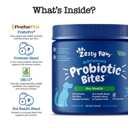 Probiotic Bites? Soft Chews for Senior Dogs