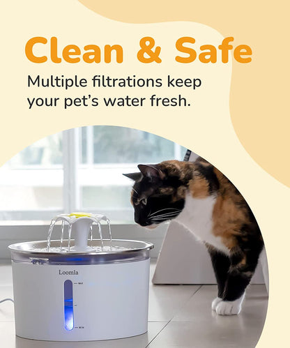 Cat Water Fountain, 85Oz/2.5L Pet Water Fountain Indoor, Automatic Dog Water Dispenser with Switchable LED Lights, 2 Replacement Filters for Cats, Dogs, Pets（Stainless Steel）